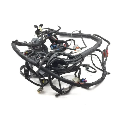 Main Engine Wiring Harness 2007 Harley-Davidson Dyna Super Glide FXD 2747 x 7