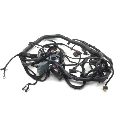 Main Engine Wiring Harness 2007 Harley-Davidson Dyna Super Glide FXD 2747 x 9