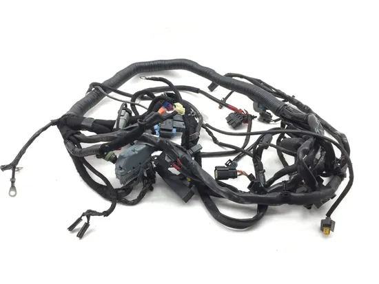 Main Engine Wiring Harness 2007 Harley-Davidson Dyna Super Glide FXD 2747 x