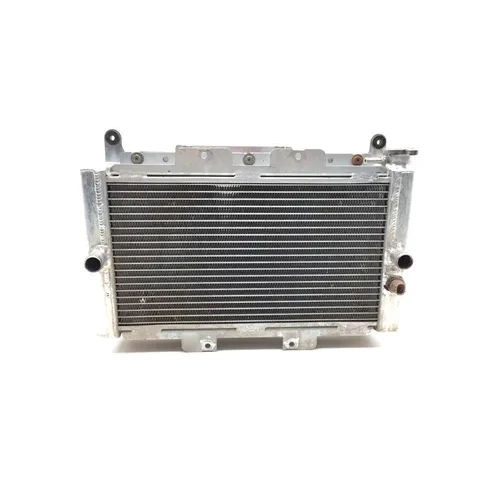 Engine Radiator Cooling 2004 Yamaha Rhino 660 YXR660FA 4x4 2750A x 3