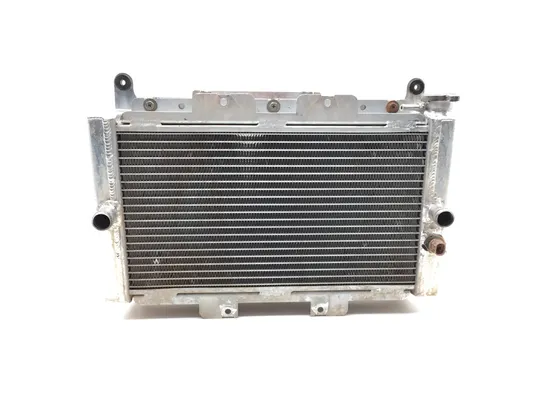 Engine Radiator Cooling 2004 Yamaha Rhino 660 YXR660FA 4x4 2750A x