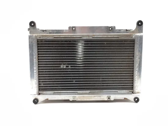 Engine Radiator Cooling 2004 Yamaha Rhino 660 YXR660FA 4x4 2750A x