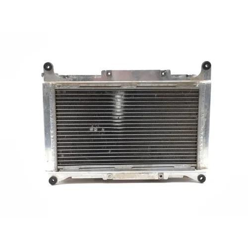 Engine Radiator Cooling 2004 Yamaha Rhino 660 YXR660FA 4x4 2750A x 9
