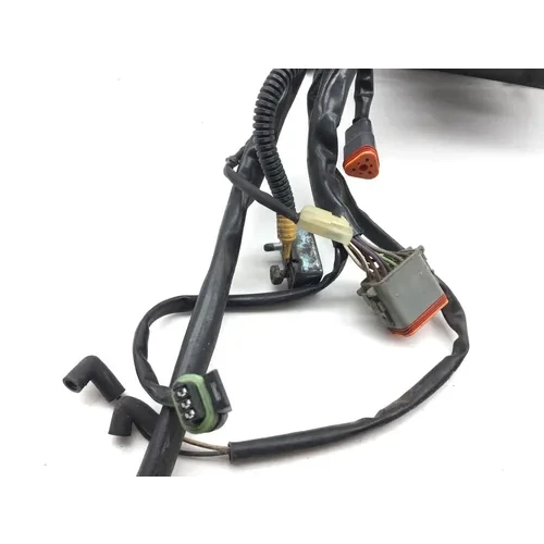 Main Engine Wiring Harness PARTS Harley-Davidson Fatboy 2004 2748A PARTS 11