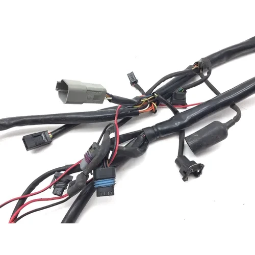 Main Engine Wiring Harness PARTS Harley-Davidson Fatboy 2004 2748A PARTS 15