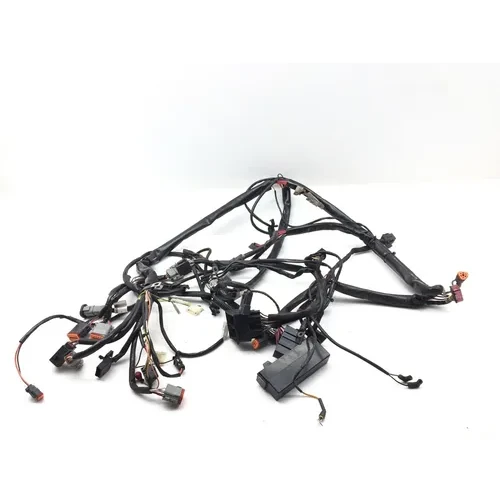 Main Engine Wiring Harness 1999 Harley-Davidson Road King FLHR 2728A x 11