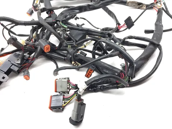Main Engine Wiring Harness 1999 Harley-Davidson Road King FLHR 2728A x
