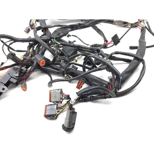 Main Engine Wiring Harness 1999 Harley-Davidson Road King FLHR 2728A x 9