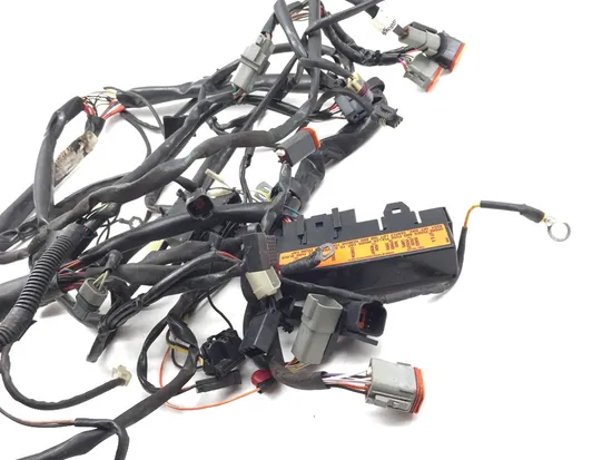 Main Engine Wiring Harness 1999 Harley-Davidson Road King FLHR 2728A x