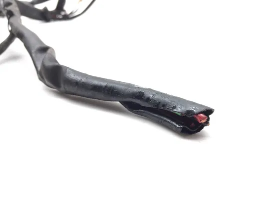 Main Engine Wiring Harness 1999 Harley-Davidson Road King FLHR 2728A x