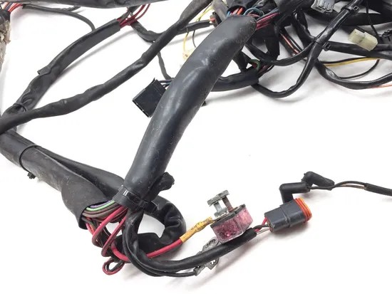 Main Engine Wiring Harness 1999 Harley-Davidson Road King FLHR 2728A x