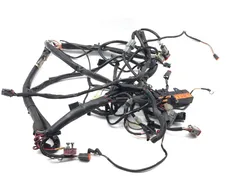 Main Engine Wiring Harness 1999 Harley-Davidson Road King FLHR 2728A x