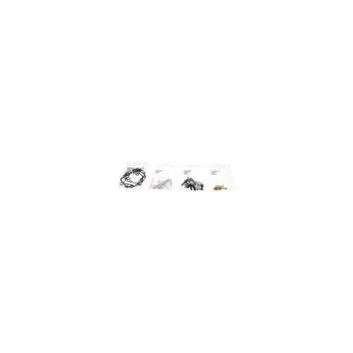 All Balls Carb Carburetor Rebuild Repair Kit for Suzuki Katana 750 5