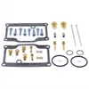 AB Carb Carburetor Rebuild Repair Kit for Arctic Cat Bearcat 440