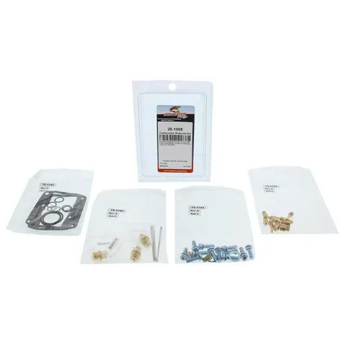 All Balls Carb Carburetor Rebuild Repair Kit Arctic Cat ZRT & EXT 600