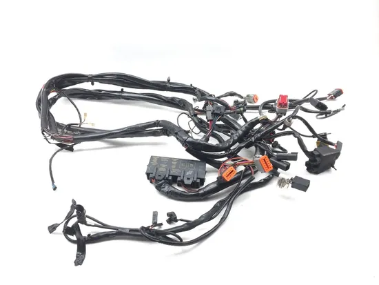 Main Engine Wiring Harness 2000 Harley Electra Glide Ultra Classic EFI FLHTCUI x