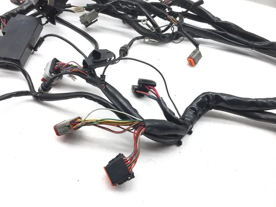 Main Engine Wiring Harness 2000 Harley Electra Glide Ultra Classic EFI FLHTCUI x