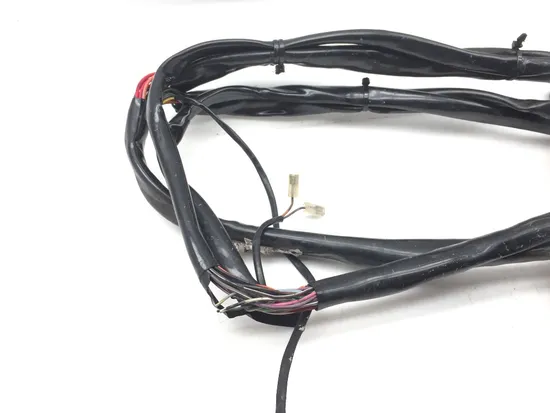 Main Engine Wiring Harness 2000 Harley Electra Glide Ultra Classic EFI FLHTCUI x