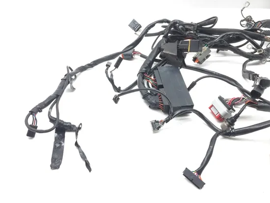 Main Engine Wiring Harness 2000 Harley Electra Glide Ultra Classic EFI FLHTCUI x