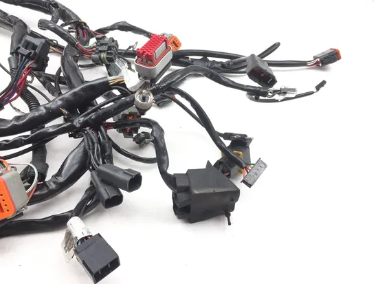 Main Engine Wiring Harness 2000 Harley Electra Glide Ultra Classic EFI FLHTCUI x