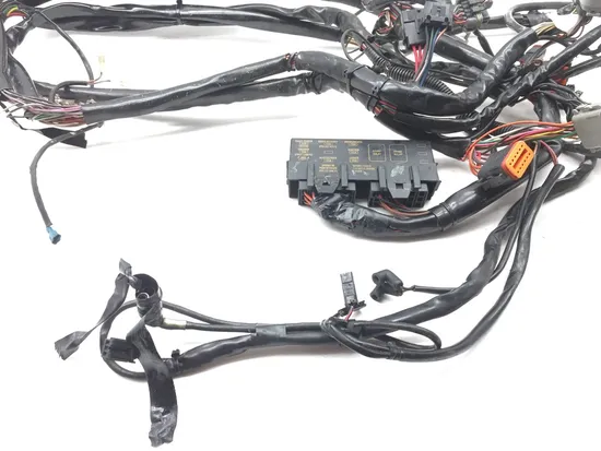 Main Engine Wiring Harness 2000 Harley Electra Glide Ultra Classic EFI FLHTCUI x