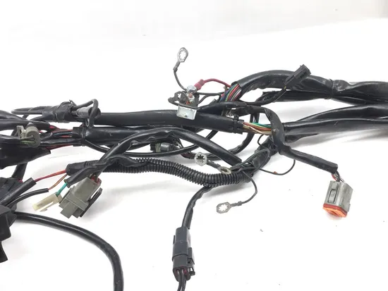 Main Engine Wiring Harness 2000 Harley Electra Glide Ultra Classic EFI FLHTCUI x