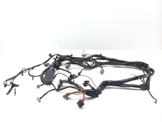 Main Engine Wiring Harness 2000 Harley Electra Glide Ultra Classic EFI FLHTCUI x