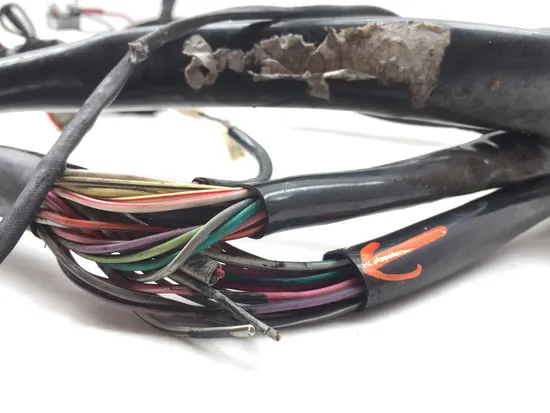 Main Engine Wiring Harness 2000 Harley Electra Glide Ultra Classic EFI FLHTCUI x