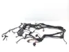 Main Engine Wiring Harness 2000 Harley Electra Glide Ultra Classic EFI FLHTCUI x