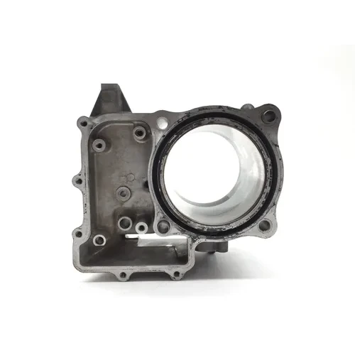 Engine Cylinder Jug W Piston 2013 Honda Big Red MUV 700 2764A 17