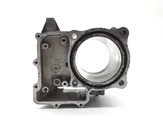 Engine Cylinder Jug W Piston 2013 Honda Big Red MUV 700 2764A