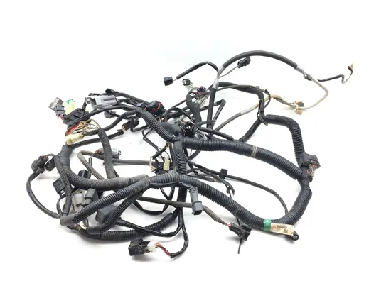 Main Engine Wiring Harness 2019 Kawasaki Teryx 800 KRF800 2770 x