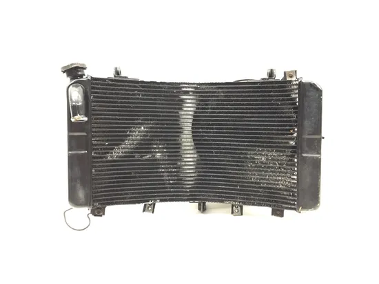 Radiator Cooling Front Fluid with Fan 2000 Suzuki Hayabusa GSX1300R 2771A x