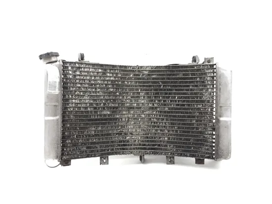 Radiator Cooling Front Fluid with Fan 2007 Suzuki Hayabusa GSX1300R 2765A x