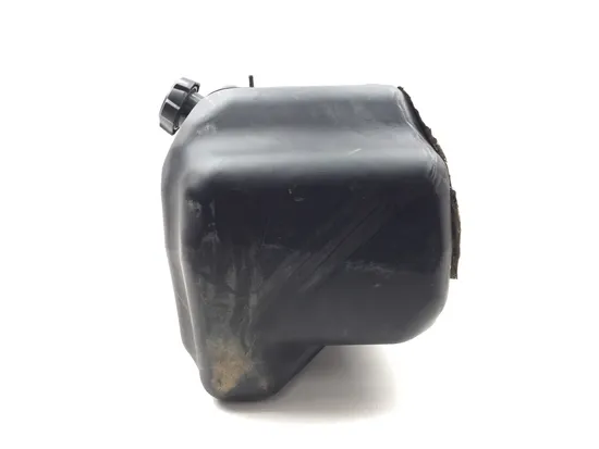 Gas Fuel Tank 2019 Kawasaki Teryx 800 KRF800 2770