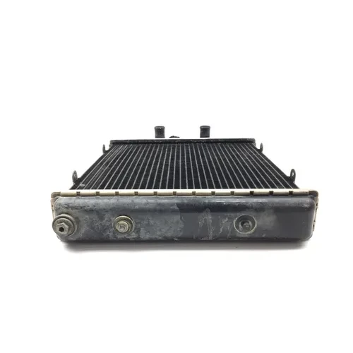 Engine Radiator Cooling 2018 Textron Off Road Wildcat Sport 700 XT EPS 2769A 9
