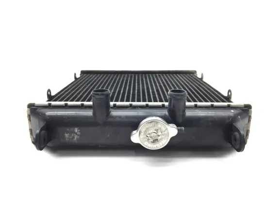 Engine Radiator Cooling 2018 Textron Off Road Wildcat Sport 700 XT EPS 2769A