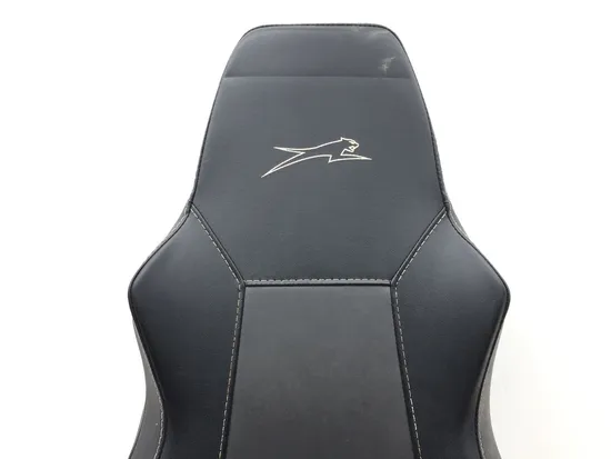 Right Side Passenger Seat Back Cushion 2018 Textron Wildcat Sport 700 XT 2769A