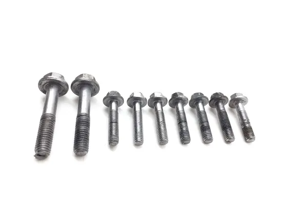 Engine Left Right Center Case Bolts 2016 Triumph Daytona 675 ABS 2789A