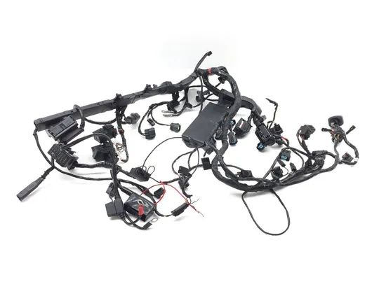 Main Engine Wiring Harness 2016 Triumph Daytona 675 ABS 2789A x 7