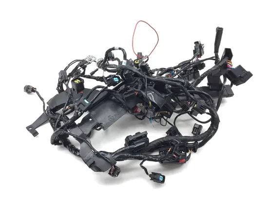 Main Engine Wiring Harness 2016 Triumph Daytona 675 ABS 2789A x 1