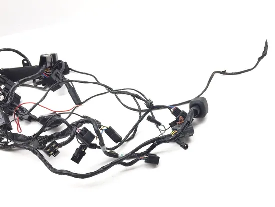 Main Engine Wiring Harness 2016 Triumph Daytona 675 ABS 2789A x 4