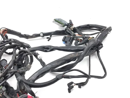 Main Engine Wiring Harness 2002 Harley Road King Screamin Eagle FLHRSEI 2792A x