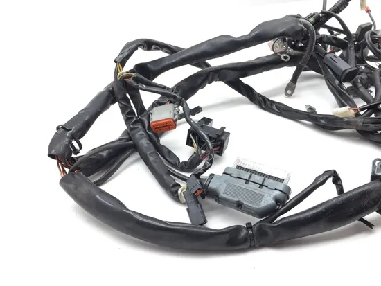Main Engine Wiring Harness 2002 Harley Road King Screamin Eagle FLHRSEI 2792A x