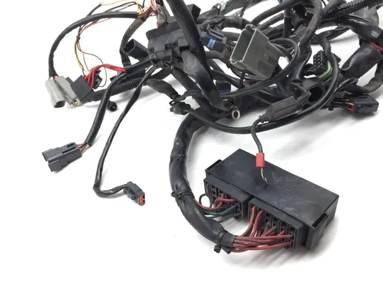 Main Engine Wiring Harness 2002 Harley Road King Screamin Eagle FLHRSEI 2792A x