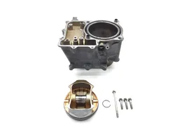 Engine Cylinder Jug W Piston 2015 Hond Pioneer 700-4 2791A x