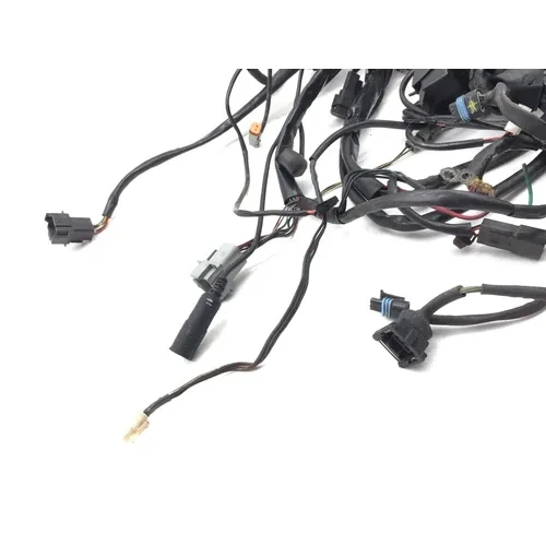 Main Engine Wiring Harness 1996 Harley Electra Ultra Classic EFI FLHTCUI PARTS 5