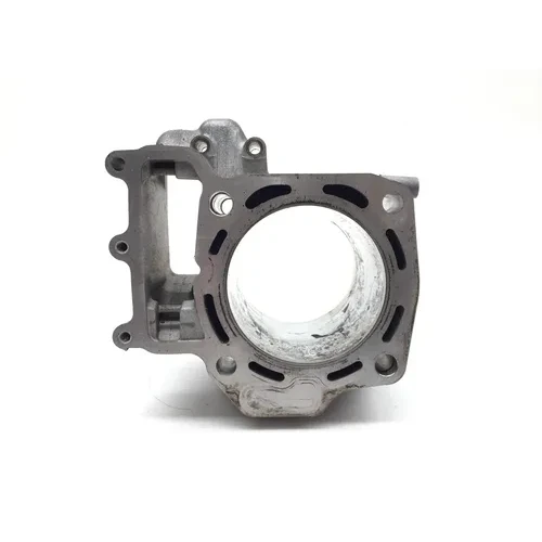 Engine Cylinder Jug Front 2019 Kawasaki Brute Force 750 KVF750 EPS 2768  PARTS 13