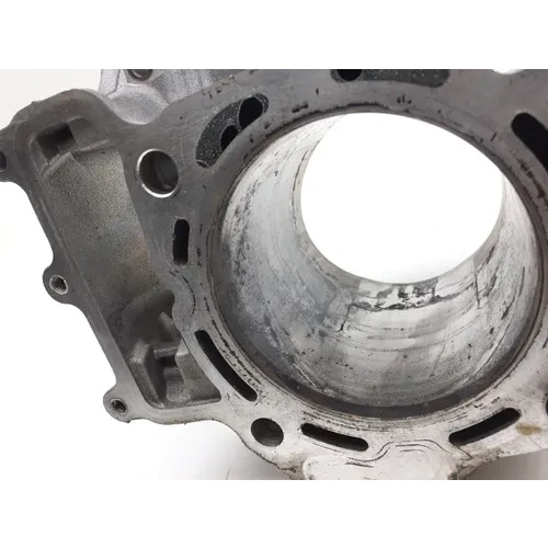 Engine Cylinder Jug Rear 2019 Kawasaki Brute Force 750 KVF750 4x4i 2768  PARTS 15