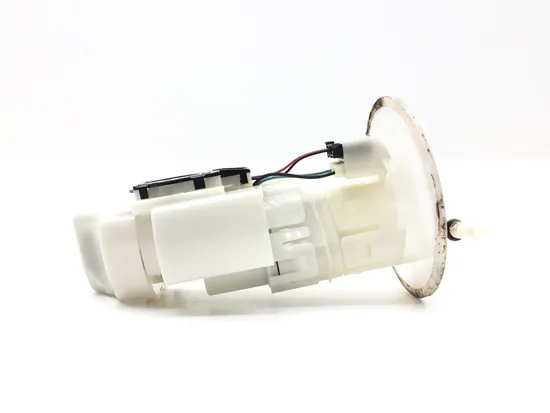 Gas Fuel Tank Pump 2019 Kawasaki Brute Force 750 KVF750 4x4i EPS 2768